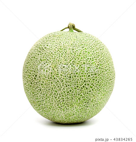 green cantaloupe melon isolated on white green cantaloupe melon isolated on white 43834265