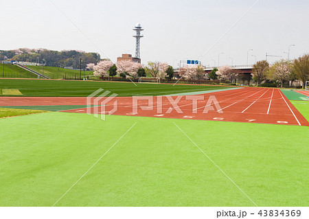 陸上競技場　トラック　芝生　サッカー場 43834369