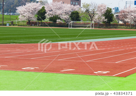陸上競技場　トラック　芝生　サッカー場 43834371