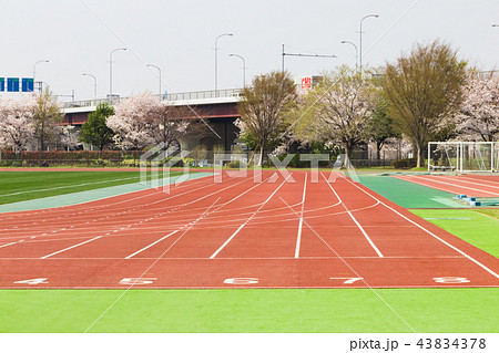 陸上競技場 トラック 芝生 サッカー場の写真素材
