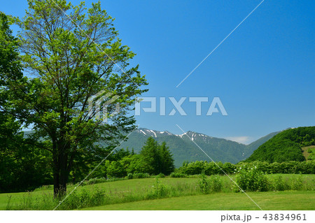 十勝千年の森 43834961