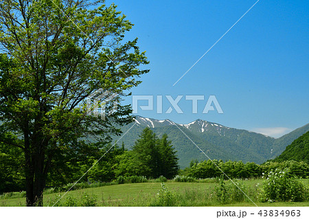 十勝千年の森 43834963