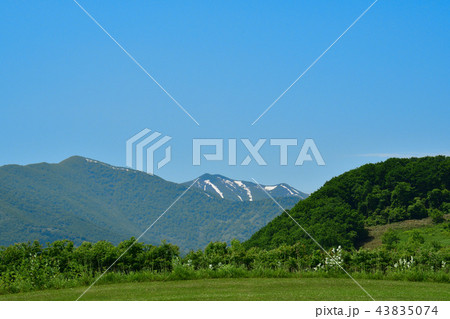 十勝千年の森 43835074