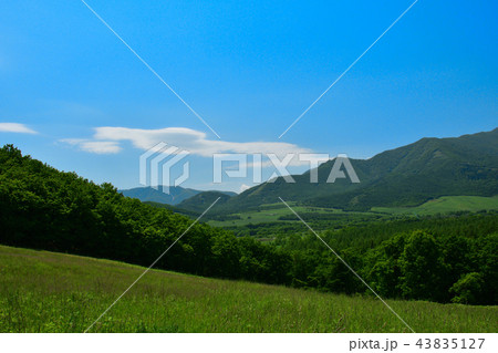 十勝千年の森 43835127