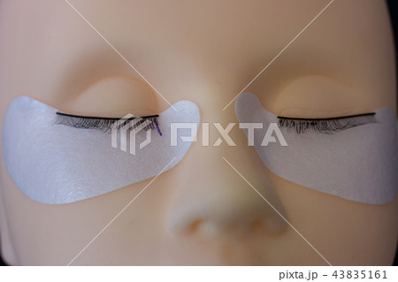 training to build eyelashes on silicone mannequin training to build eyelashes on silicone mannequin 43835161