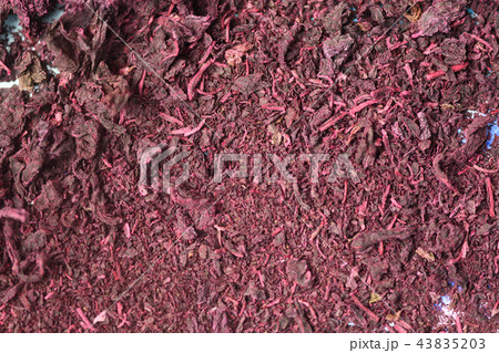 ユカリジソの天日干し 43835203