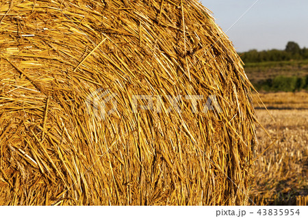 details of straw 43835954