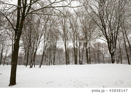 Winter time 43836147