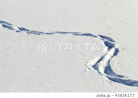 traces of the past person traces of the past person 43836177