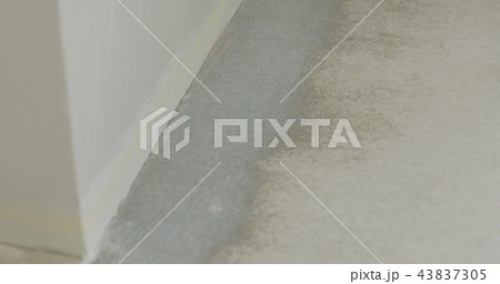 closeup applied primer on the floor 43837305