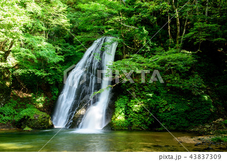 峨瓏（がろう）の滝　秋田県　藤里町 43837309
