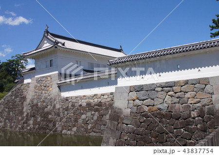小田原城址公園 43837754