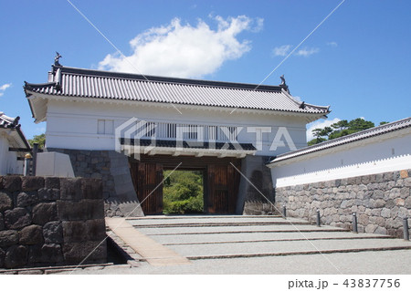 小田原城址公園 43837756