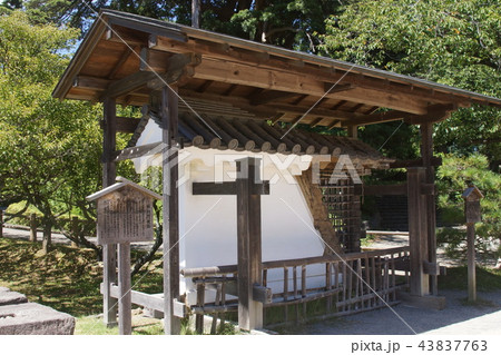 小田原城址公園 43837763