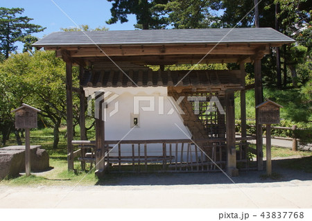 小田原城址公園 43837768
