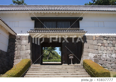 小田原城址公園 43837777