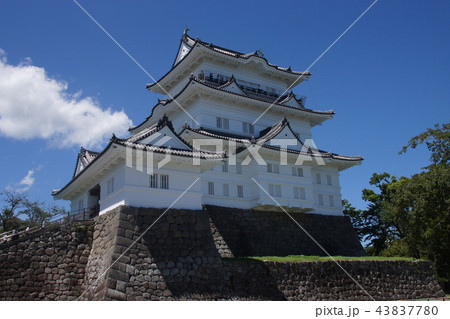 小田原城址公園 43837780