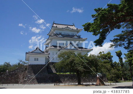 小田原城址公園 43837785