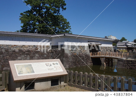 小田原城址公園 小田原城址公園 43837804