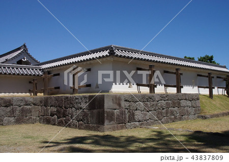 小田原城址公園 43837809