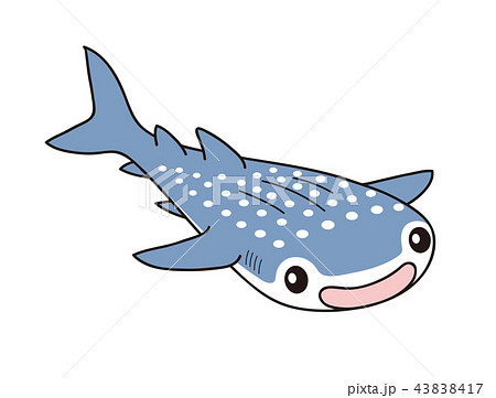 How to Draw a Whale Shark step by step - Easy animals to draw