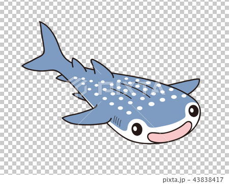 ジンベイザメ 43838417