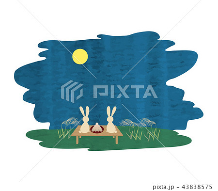 満月を眺めるウサギ 43838575