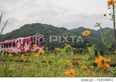 錦川鉄道 43838803