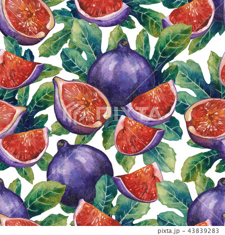 Seamless pattern of fig fruits and leaves. Seamless pattern of fig fruits and leaves. 43839283