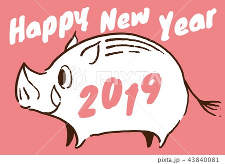 2019年 亥年 年賀状 サーモンピンク 2019年 亥年 年賀状 サーモンピンク 43840081