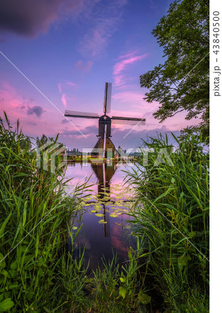 Old dutch windmill at sunset in Kinderdijk Old dutch windmill at sunset in Kinderdijk 43840500