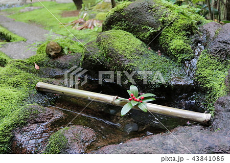 長町武家屋敷跡 長町武家屋敷跡 43841086