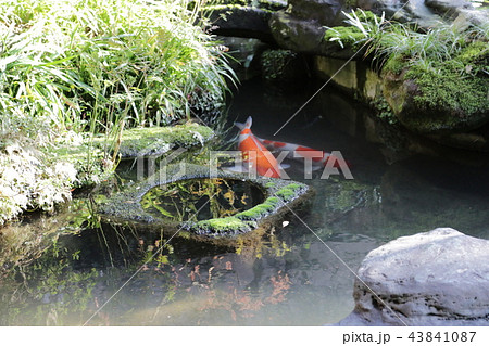 長町武家屋敷跡 43841087
