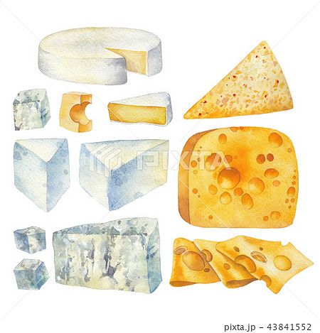 Watercolor collection of different types of cheese. 43841552