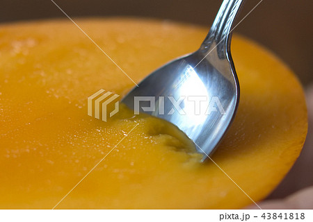 瑞々しいマンゴーにスプーンを入れる イメージ 瑞々しいマンゴーにスプーンを入れる イメージ 43841818