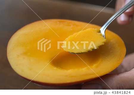 瑞々しいマンゴーにスプーンを入れる イメージ 瑞々しいマンゴーにスプーンを入れる イメージ 43841824