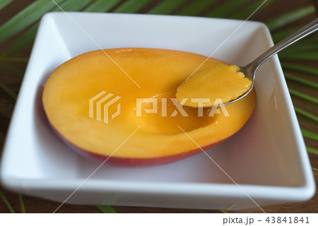 瑞々しいマンゴーにスプーンを入れる イメージ 瑞々しいマンゴーにスプーンを入れる イメージ 43841841