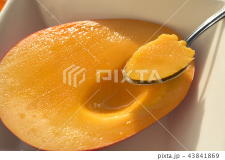 瑞々しいマンゴーにスプーンを入れる イメージ 瑞々しいマンゴーにスプーンを入れる イメージ 43841869