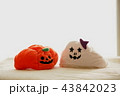 ハロウィン 43842023