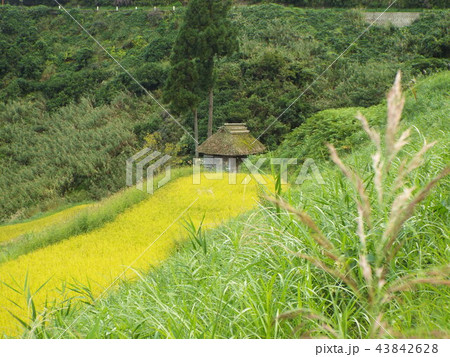留守原の棚田 43842628