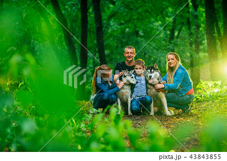family with children, and husky dogs in the forest 43843855