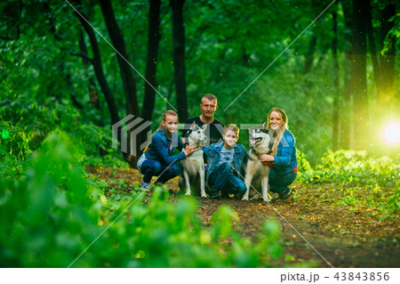 family with children, and husky dogs in the forest family with children, and husky dogs in the forest 43843856