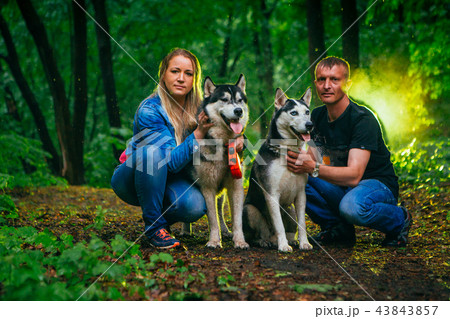 family with husky dogs in the forest family with husky dogs in the forest 43843857