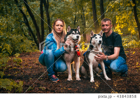 family with husky dogs in the forest 43843858