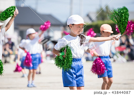 運動会 運動会 43844087