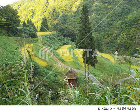 留守原の棚田 留守原の棚田 43844268