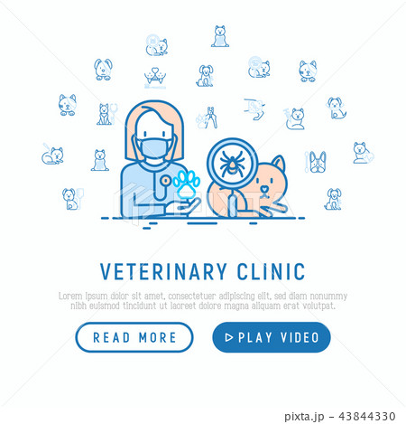 Veterinary clinic: treatment from tick for cat Veterinary clinic: treatment from tick for cat 43844330