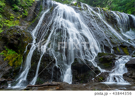 乗鞍高原　三本滝　日本の滝百選 43844356