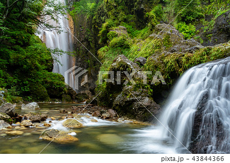 乗鞍高原　三本滝　日本の滝百選 43844366