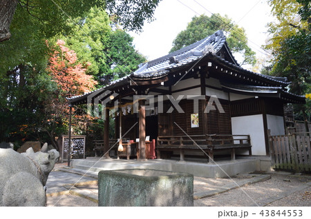 安井(安居)神社（大阪府大阪市天王寺区逢阪1-3-24） 43844553
